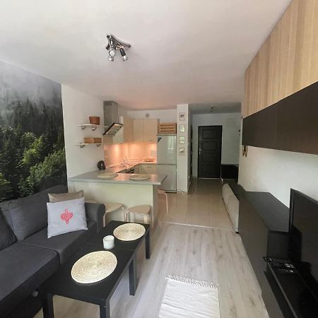 Kasprusie 10 By Homeprime Zakopane Exteriér fotografie