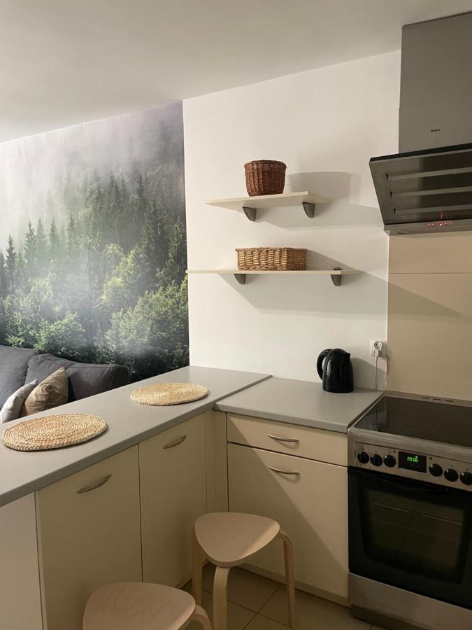 Kasprusie 10 By Homeprime Zakopane Exteriér fotografie