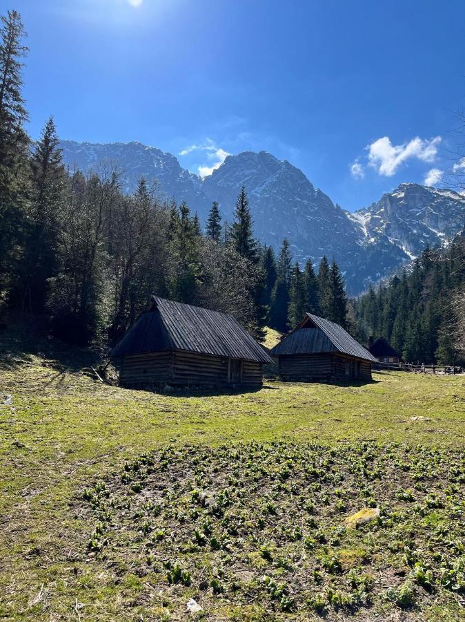 Kasprusie 10 By Homeprime Zakopane Exteriér fotografie